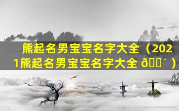 熊起名男宝宝名字大全（2021熊起名男宝宝名字大全 🌴 ）